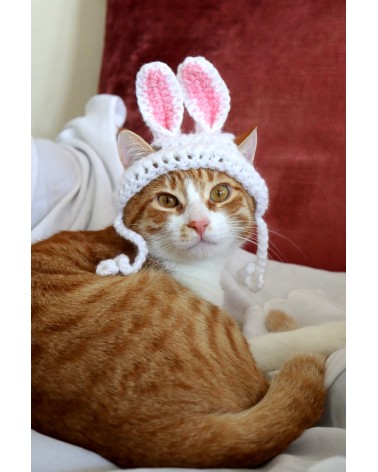 Bunny Ears Crochet Cat Hat