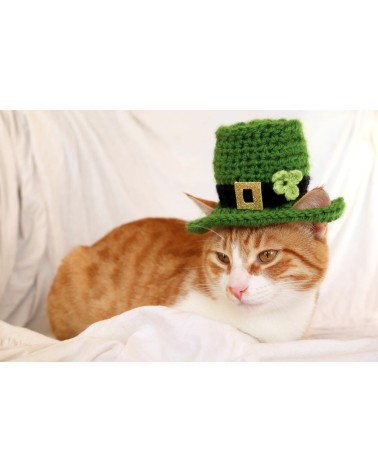 Patrick’s Day Leprechaun Crochet Cat Top Hat