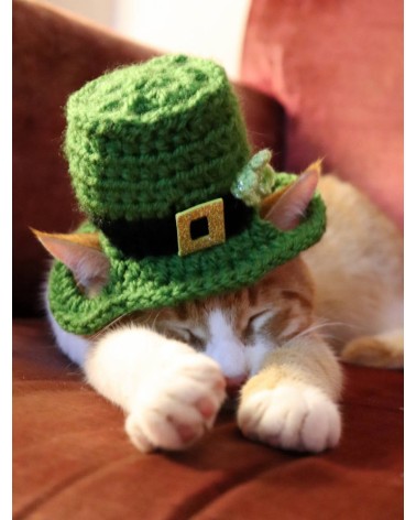 Patrick’s Day Leprechaun Crochet Cat Top Hat