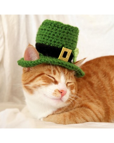 Patrick’s Day Leprechaun Crochet Cat Top Hat
