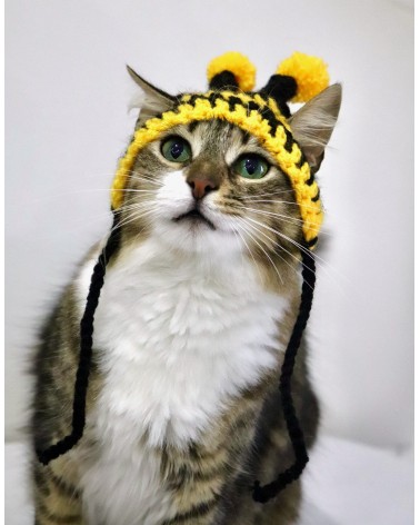 Bumblebee Crochet Cat Hat