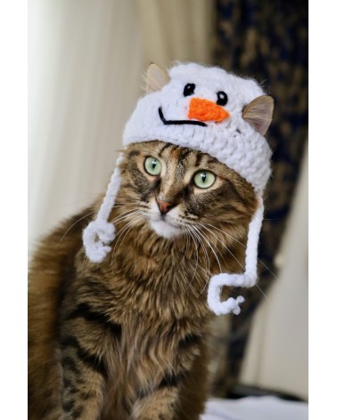 Snowman Crochet Cat Hat