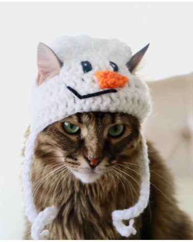 Snowman Crochet Cat Hat