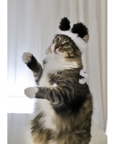 Panda Crochet Cat Hat