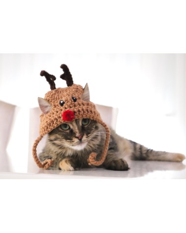 Reindeer Crochet Cat Hat