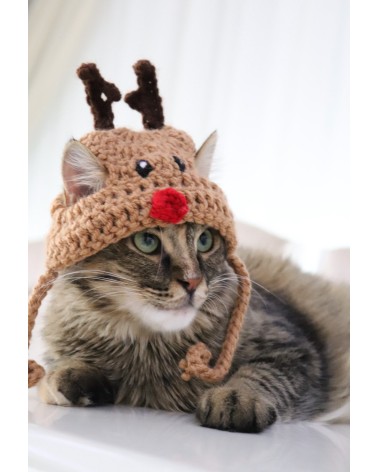 Reindeer Crochet Cat Hat