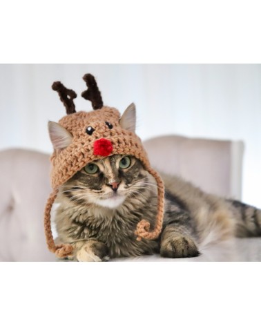 Reindeer Crochet Cat Hat