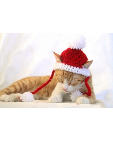 Santa Crochet Cat Hat