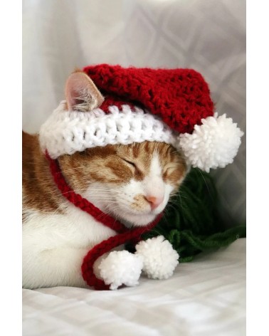 Santa Crochet Cat Hat