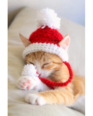 Santa Crochet Cat Hat