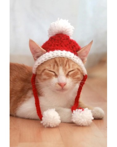 Santa Crochet Cat Hat