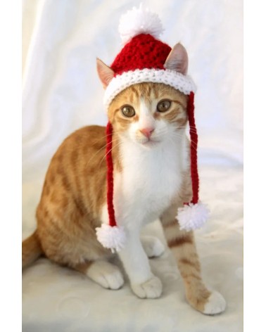 Santa Crochet Cat Hat