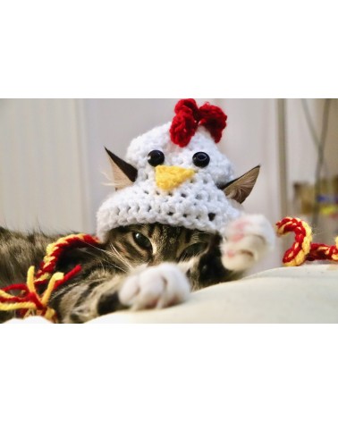 Chicken Crochet Cat Hat