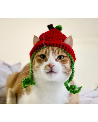 Cherry Crochet Cat Hat