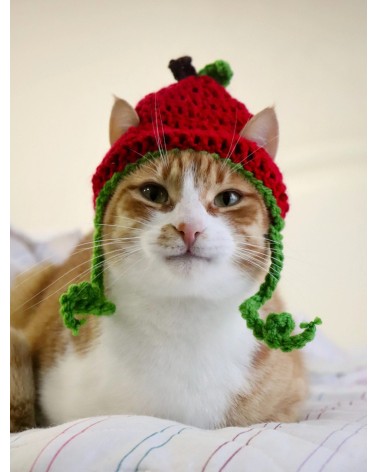 Cherry Crochet Cat Hat