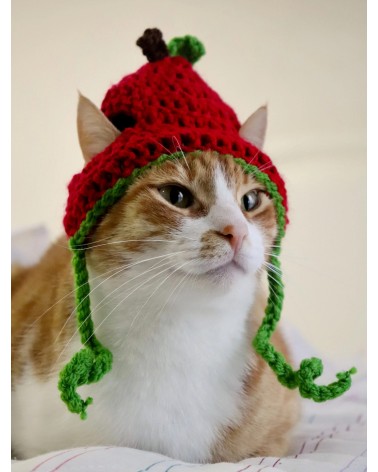 Cherry Crochet Cat Hat