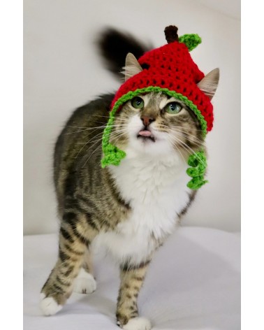 Cherry Crochet Cat Hat