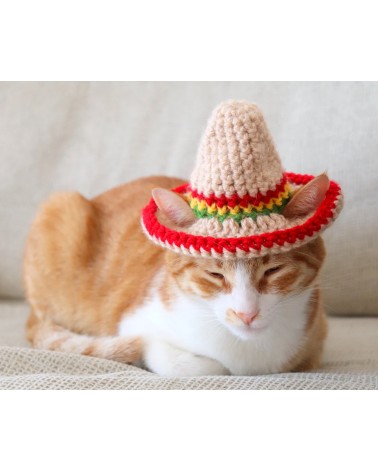 Sombrero Crochet Cat Hat