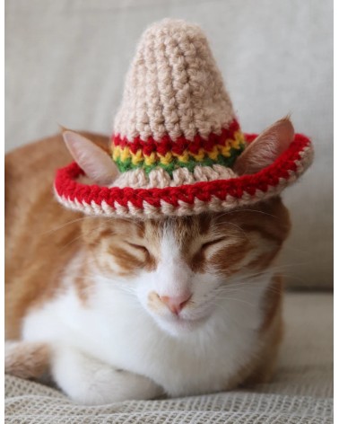 Sombrero Crochet Cat Hat