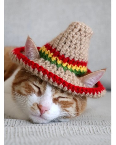 Sombrero Crochet Cat Hat