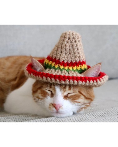 Sombrero Crochet Cat Hat