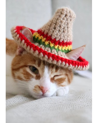 Sombrero Crochet Cat Hat