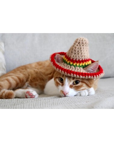Sombrero Crochet Cat Hat