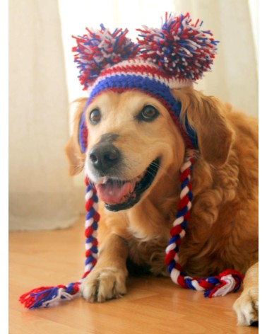 Pom-Pom Earflap Crochet Dog Hat