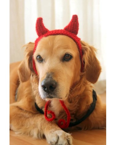 Devil Horn Crochet Dog Hat