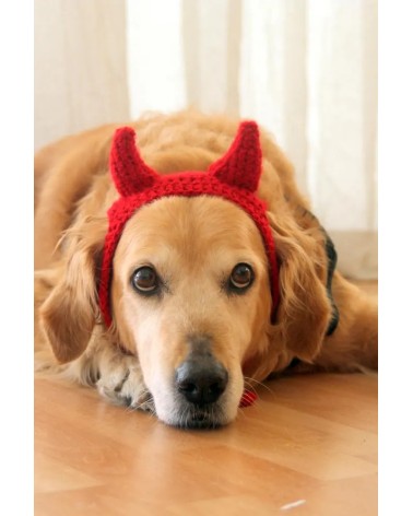 Devil Horn Crochet Dog Hat