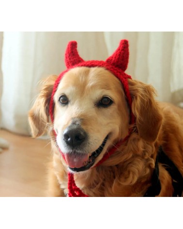 Devil Horn Crochet Dog Hat