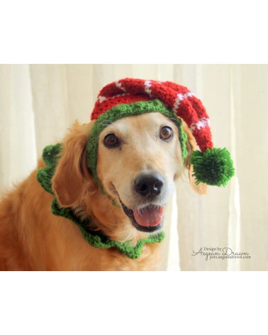 Holiday Elf Crochet Dog Hat