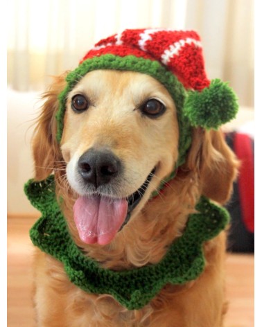 Holiday Elf Crochet Dog Hat