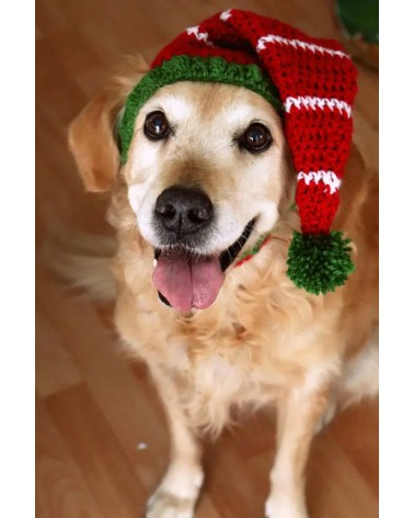 Holiday Elf Crochet Dog Hat