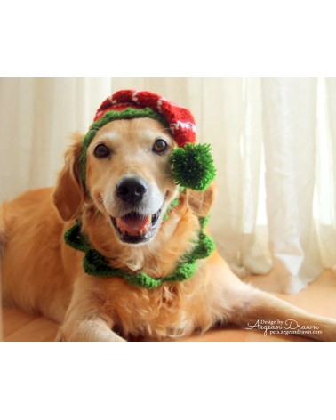 Holiday Elf Crochet Dog Hat