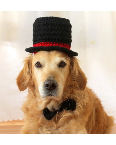 Classic Top Hat Crochet Dog Hat