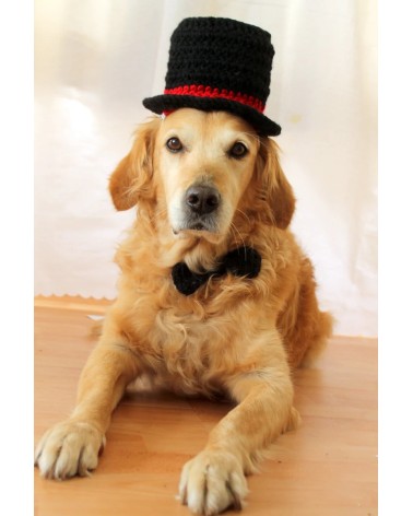 Classic Top Hat Crochet Dog Hat