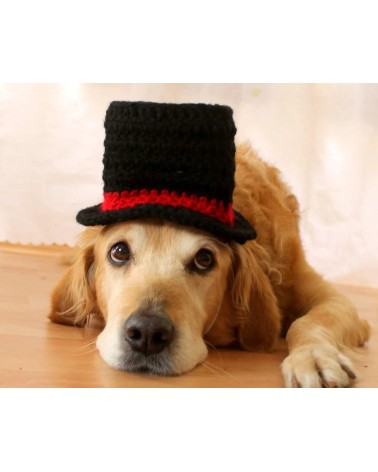 Classic Top Hat Crochet Dog Hat